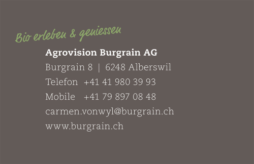 Burgrain visitenkarte print referenz homm interactive gmbh luzern 02