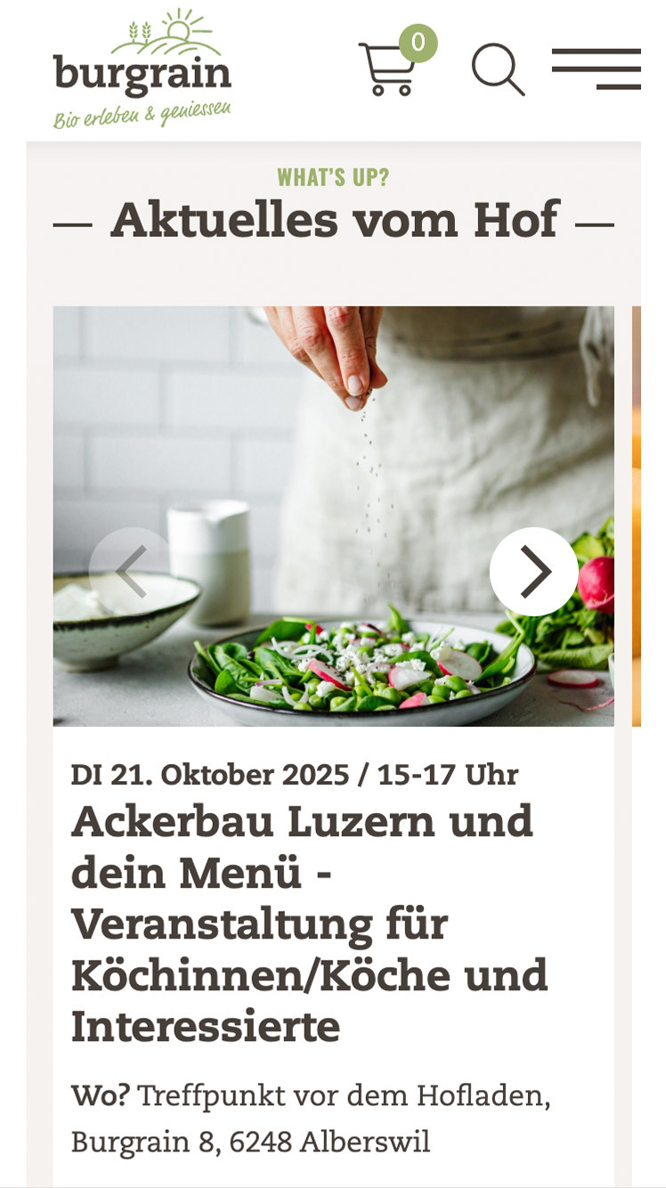 Burgrain iphone web referenz homm interactive gmbh luzern 03